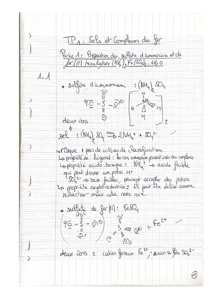 Tp1 Fer Et Sel de Mohr PDF — free download