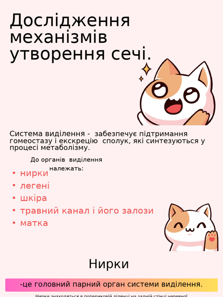 The Definitive Guide To Understanding Your Cat | PDF