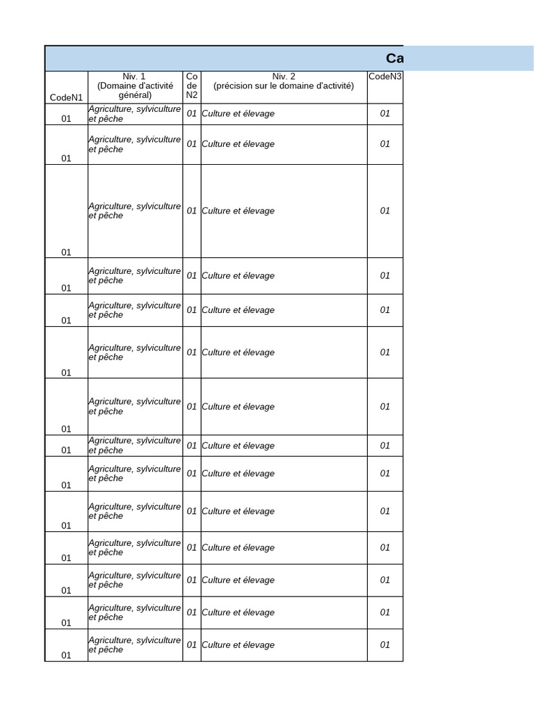 INPI RNE Table Des Categories Activites 3 | PDF