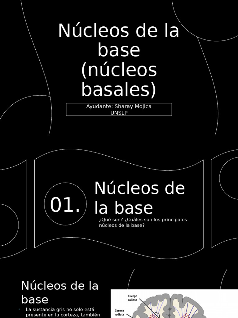 Núcleos de La Base | PDF