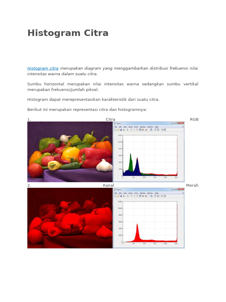 METODA PENGOLAHAN CITRAHistogram Citra | PDF