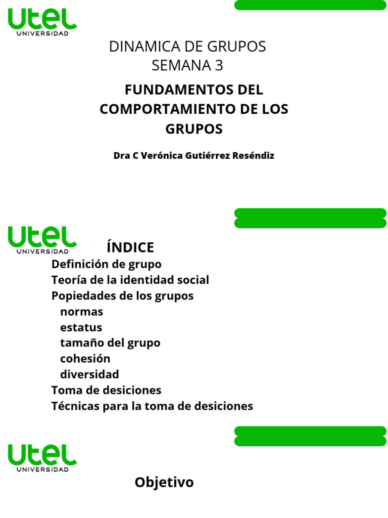 Fundamentos Del Comportamiento de Los Grupos | PDF