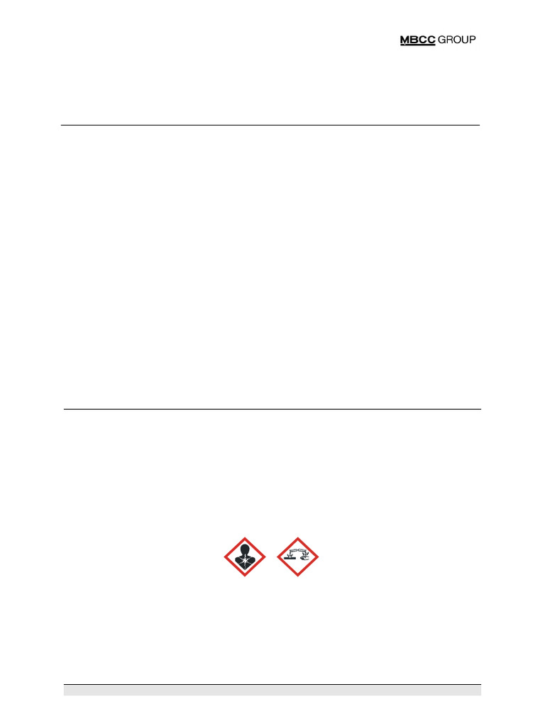 MasterRoc SA 160 SDS 2026924 | PDF