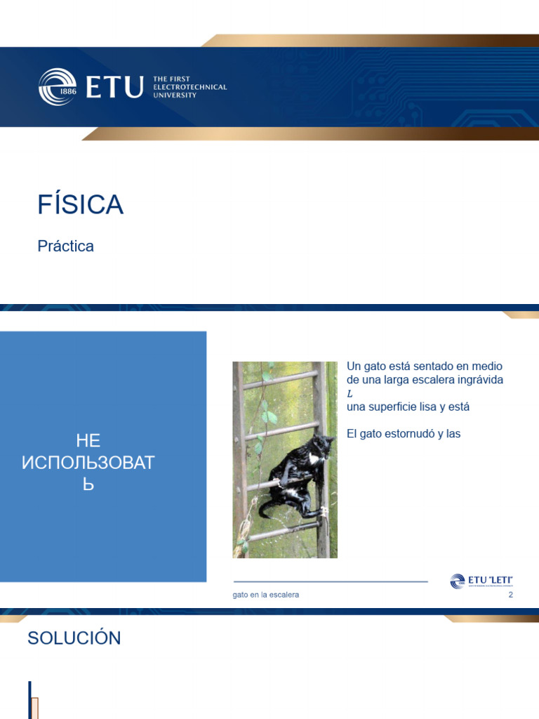 Practice 1 2 cat on the ladder es pdf