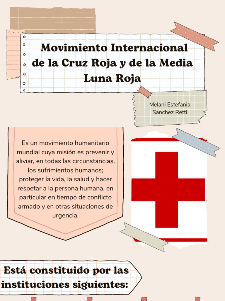 Movimiento Internacional de La Cruz Roja y de La Media Luna Roja | PDF