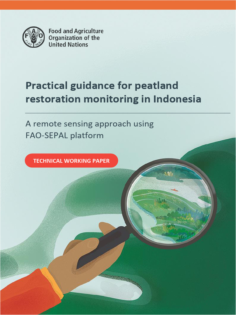 Practical Guidance For Peatland Restoration Monitoring in Indonesia | PDF