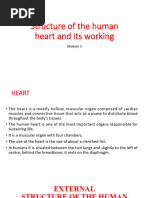 Blood Circulation Flow Chart | PDF