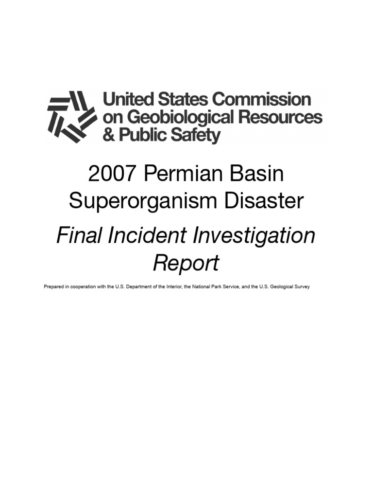 Permian Basin Superorganism Disaster Report | PDF | Corrosion | Science ...