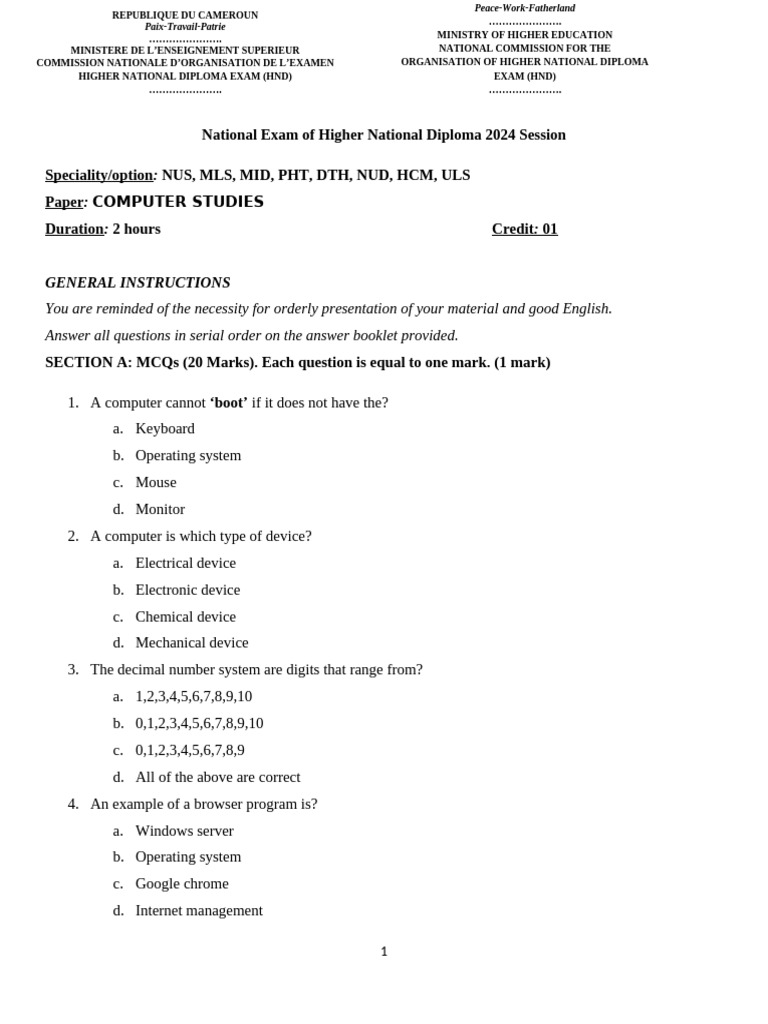 Computer Studies Set 1 Questions 2024 | PDF