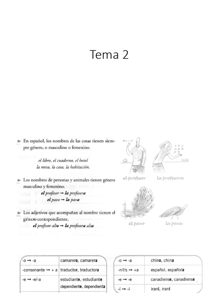 Tema 2 | PDF