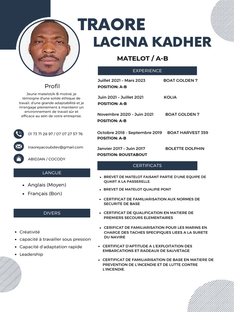 CV AB Traore Lacina | PDF