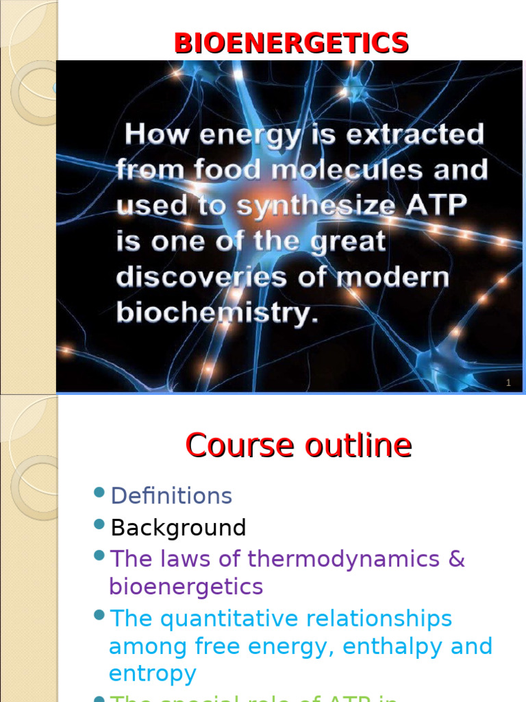 Understanding Bioenergetics Principles | PDF | Gibbs Free Energy ...