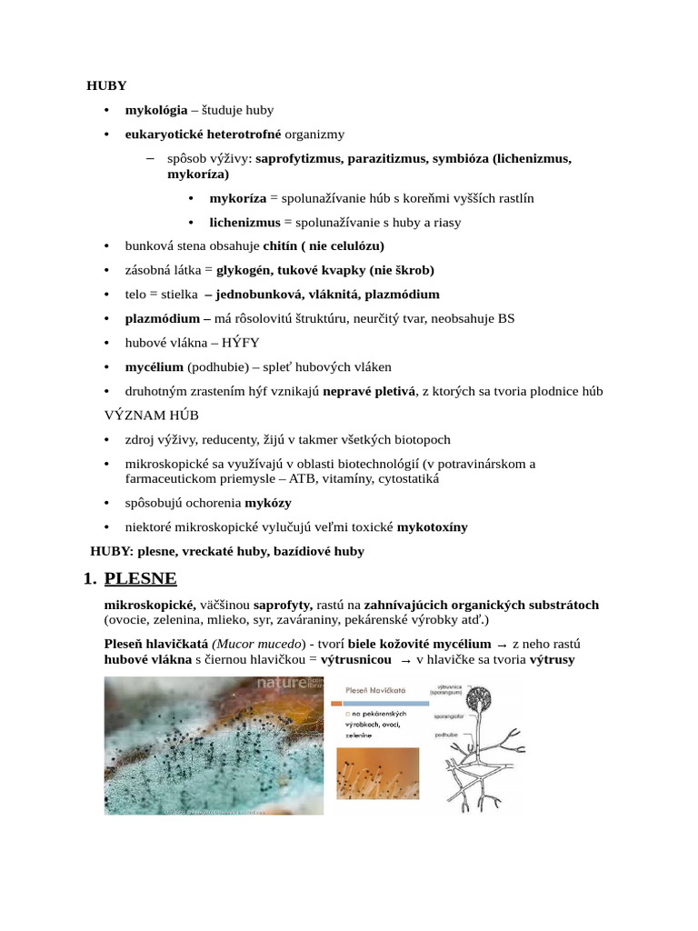Huby - Poznã¡mky | PDF