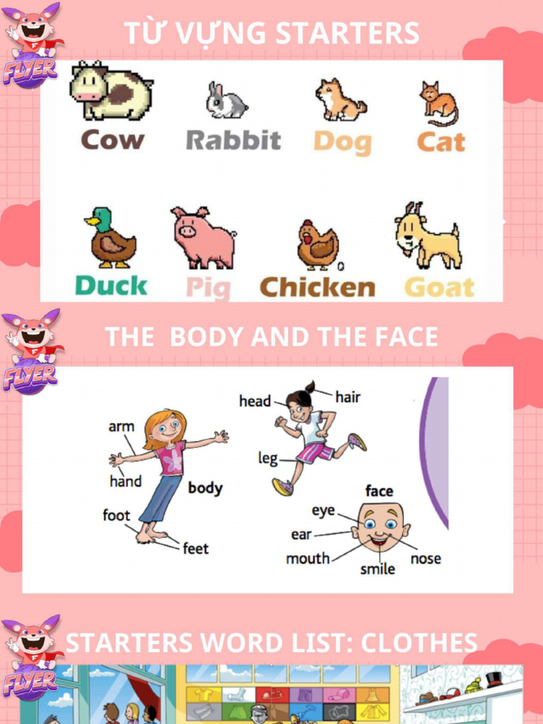 Starters Picture | PDF