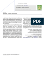 Enzymes in Grain Processing