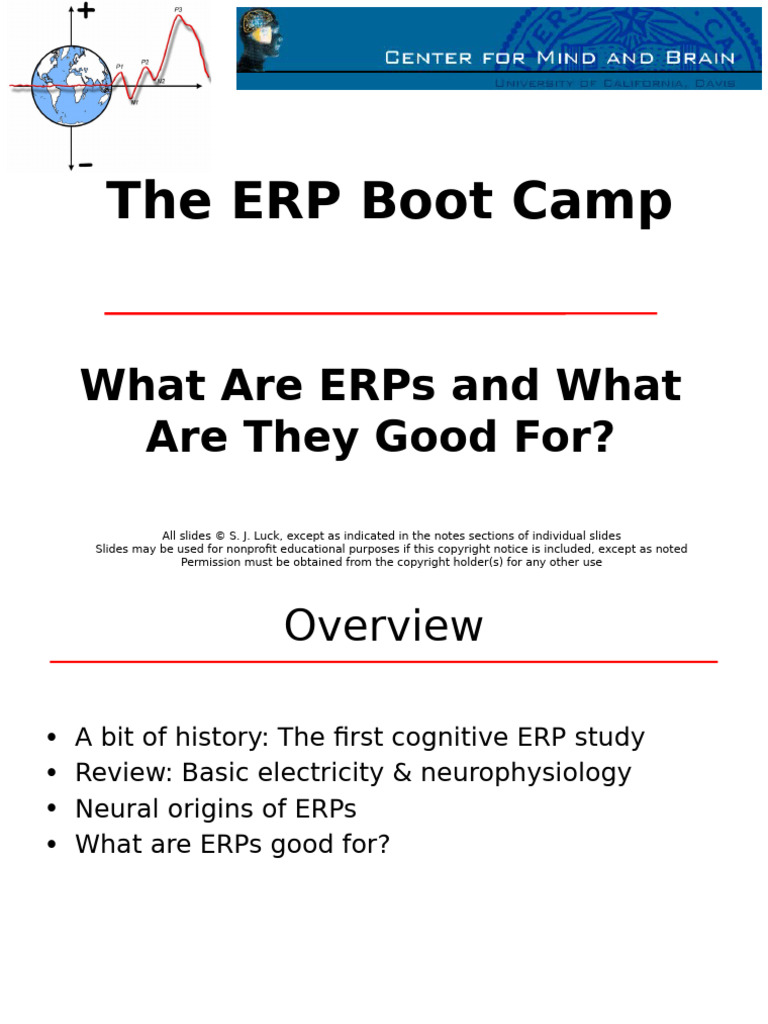 01 +Intro+to+ERPs | PDF