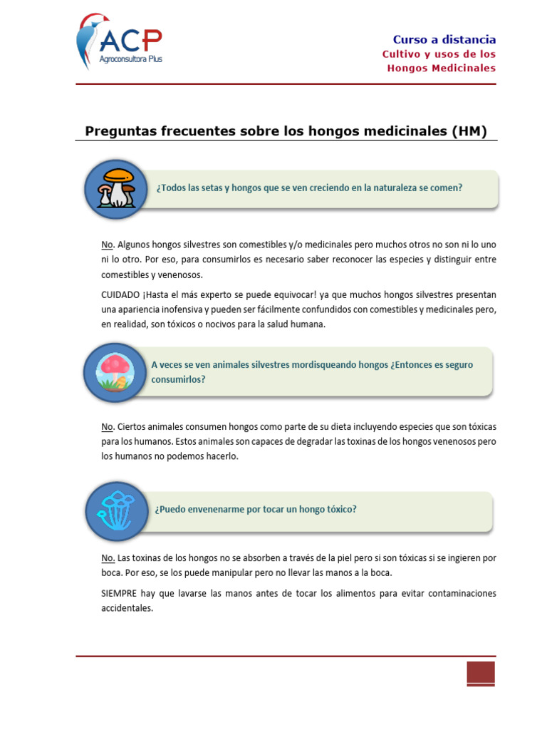 Preguntas Frecuentes Sobre HM | PDF