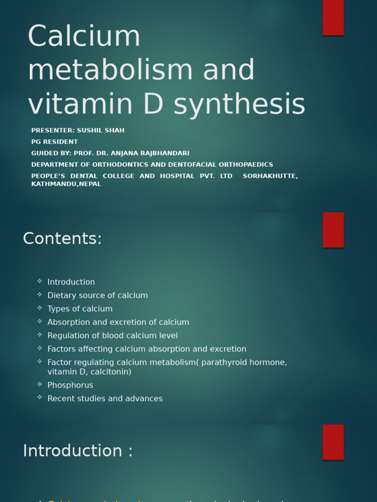 Calcium Metabolism and Vitamin D Synthesis | PDF