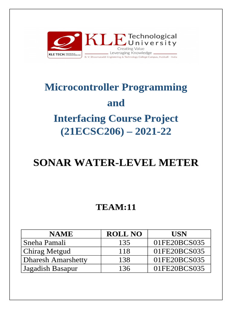 MCP Report FINAL | PDF