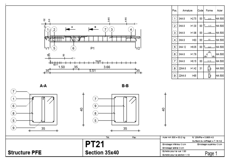 PT21 | PDF