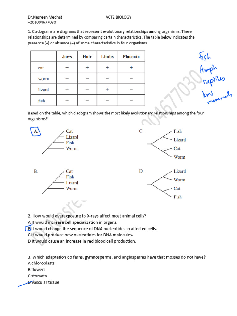 Final Revision 1 | PDF