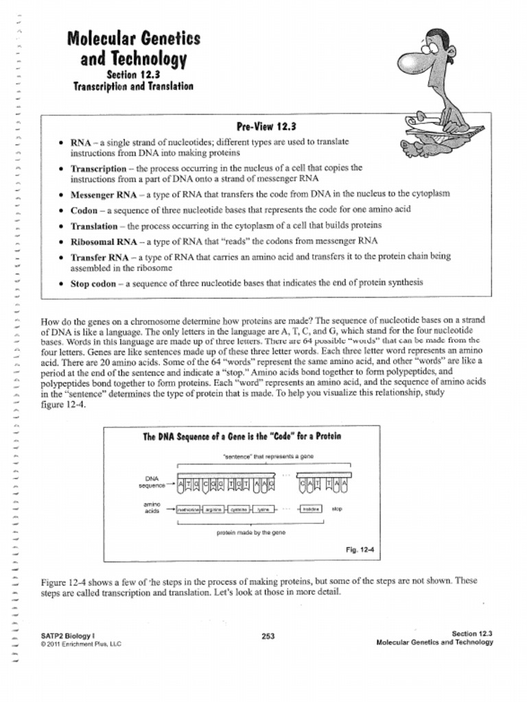 RNA and Protein Synthesis | PDF