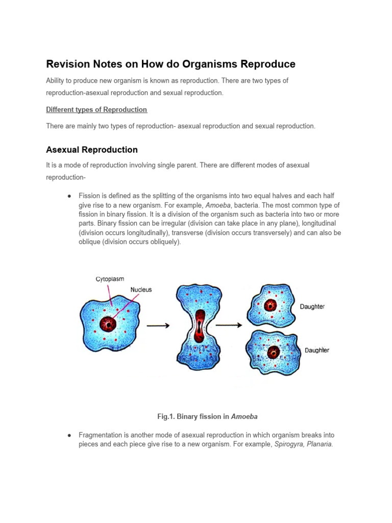 Revision Notes on How Do Organisms Reproduce | PDF