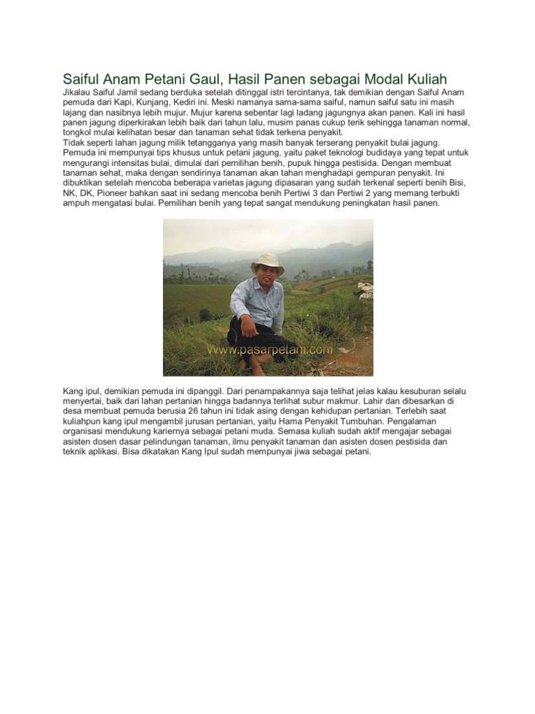 Saiful Anam Petani Gaul
