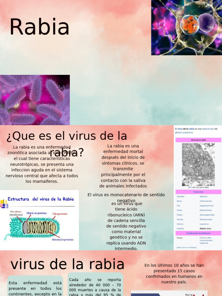 Rabia!! C | PDF