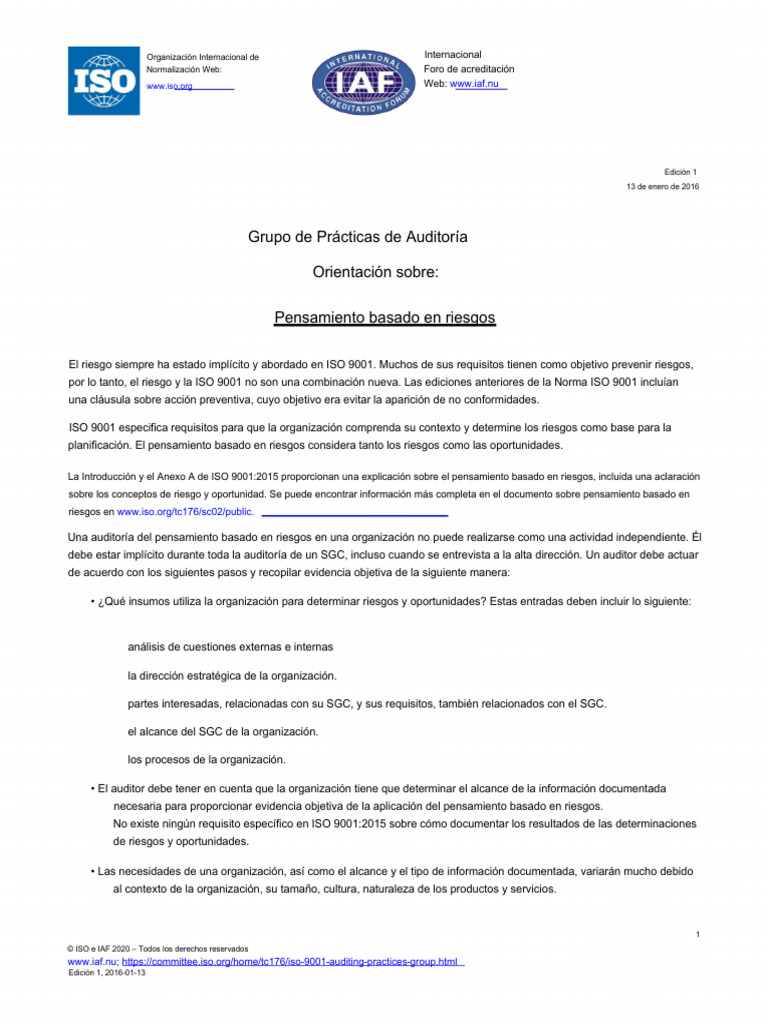 ISO-TC 176-TF - APG-RiskBasedThinking Tgoogle | PDF