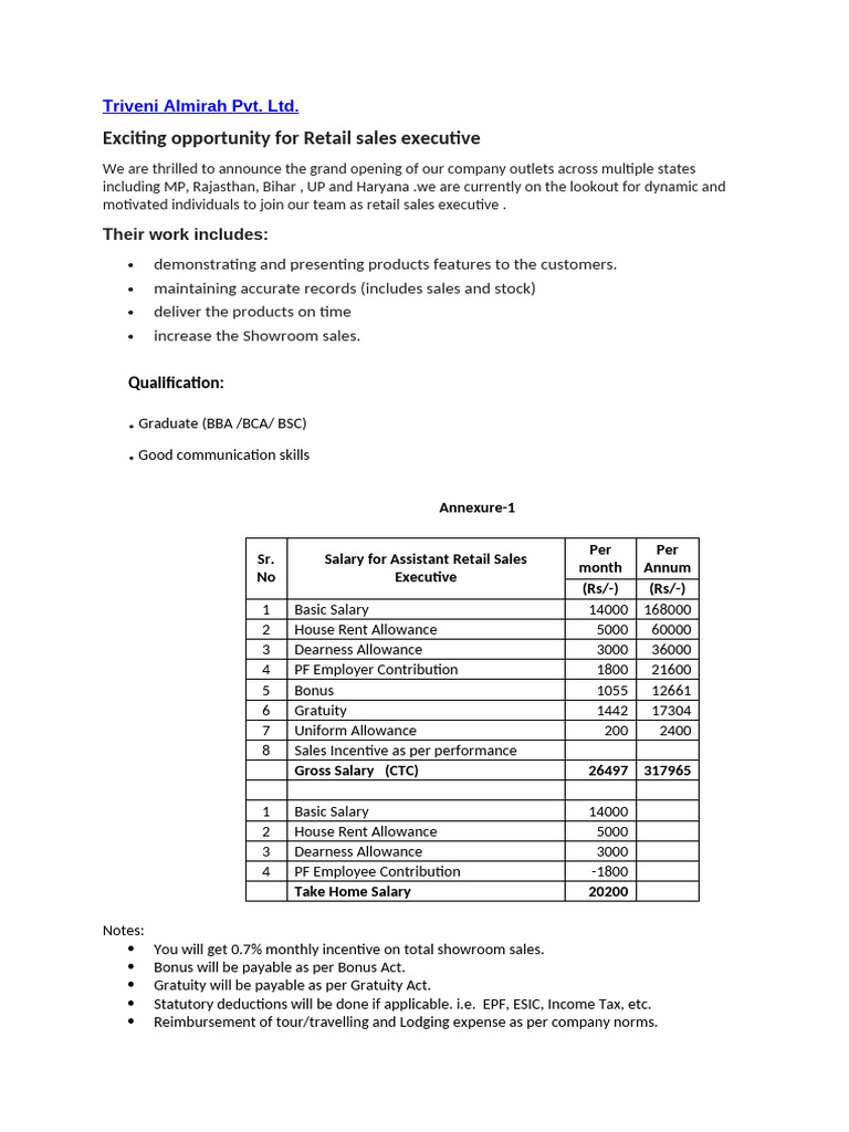 Sales Executive | PDF