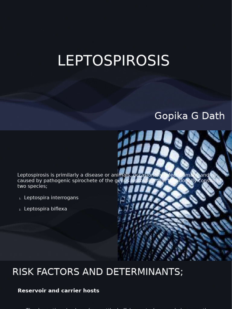Curated Leptospiroscopy Infection Gallery View