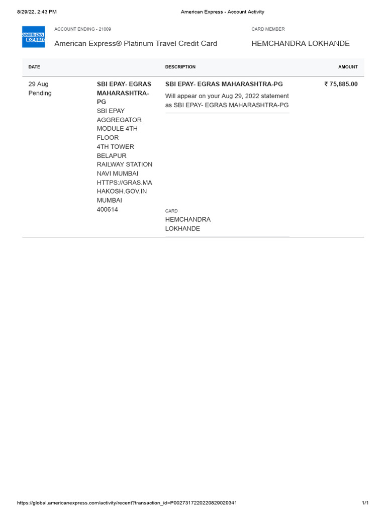 Amex - Payment - Transcation Details | PDF