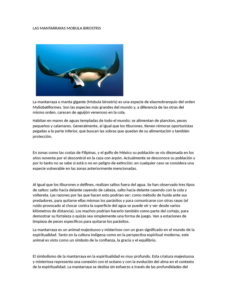 Mantarraya Información | PDF