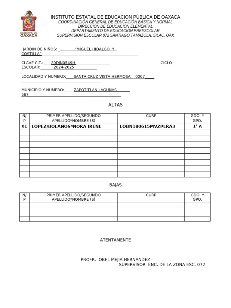 Formato de Altas y Bajas 20242025 PDF