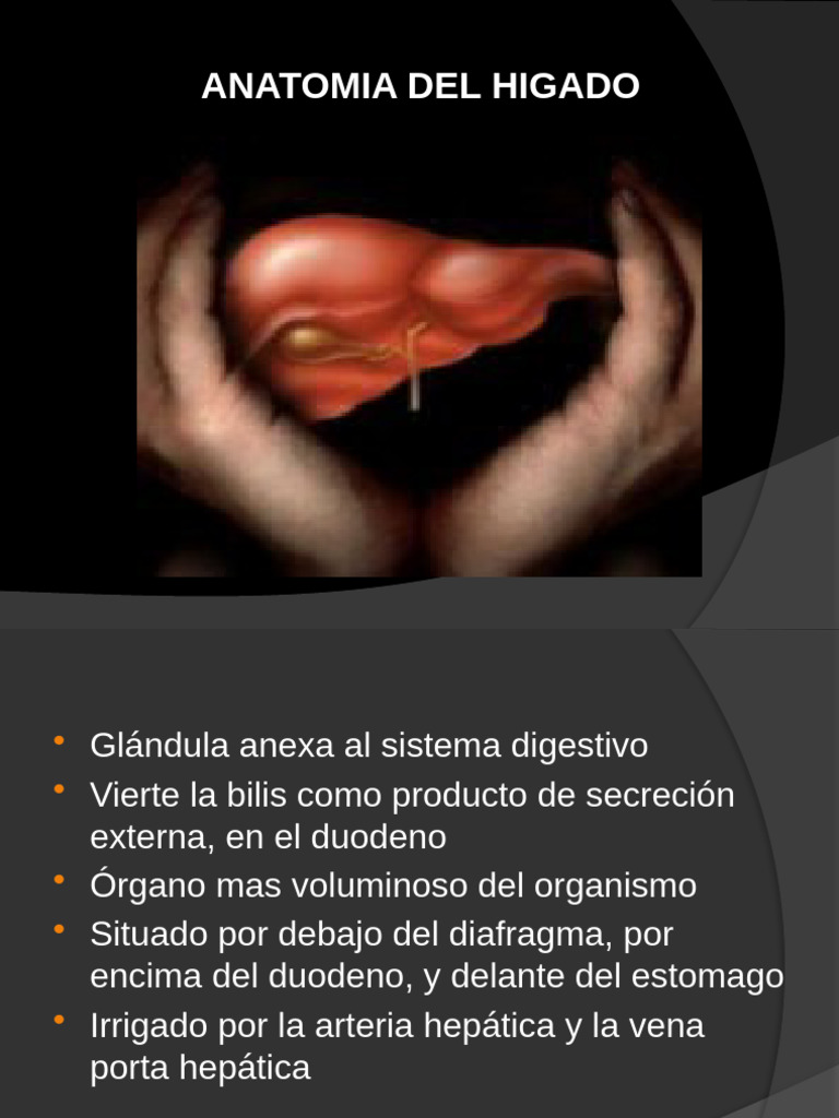 Anatomia de Higado y Vesícula Biliar | PDF