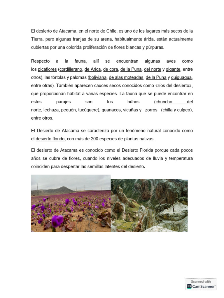 El Desierto de Atacama | PDF