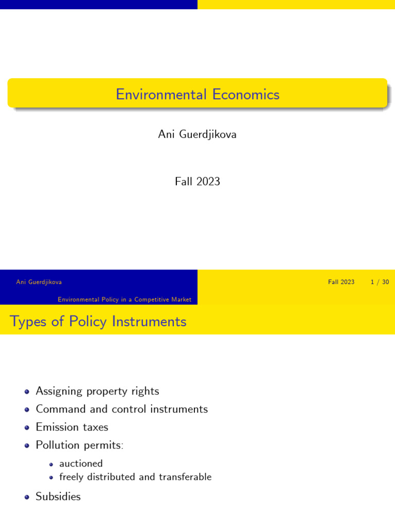 Environmental Economics 2023 Policy Instruments Handout | PDF