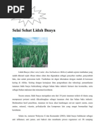 Download Selai Sehat Lidah Buaya by Dgreat Eni SN77348012 doc pdf