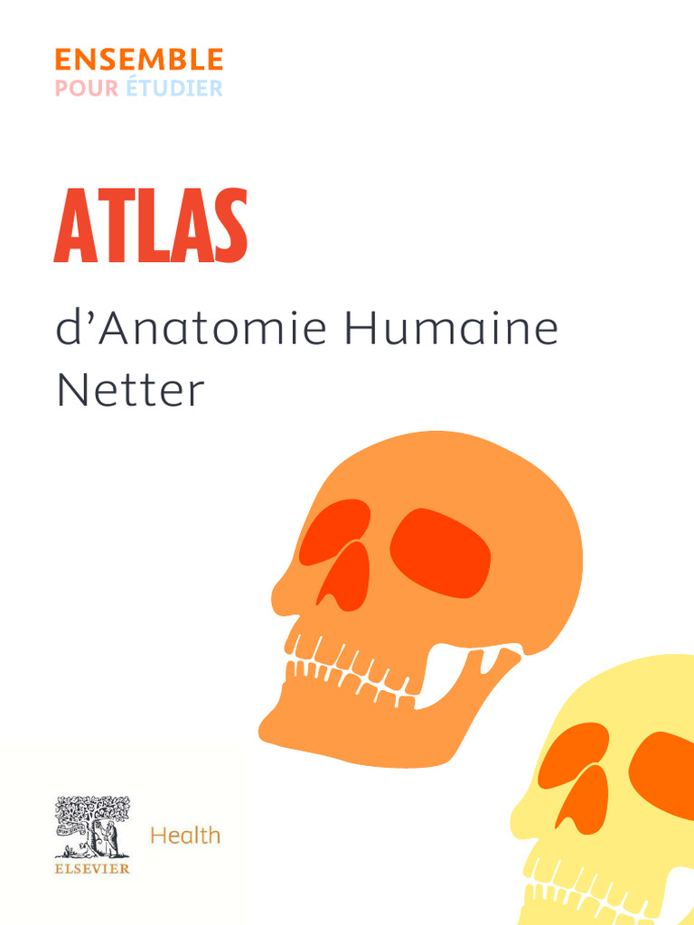 Anatomie Humaine Netter Atlas Pdf – OPJZQB