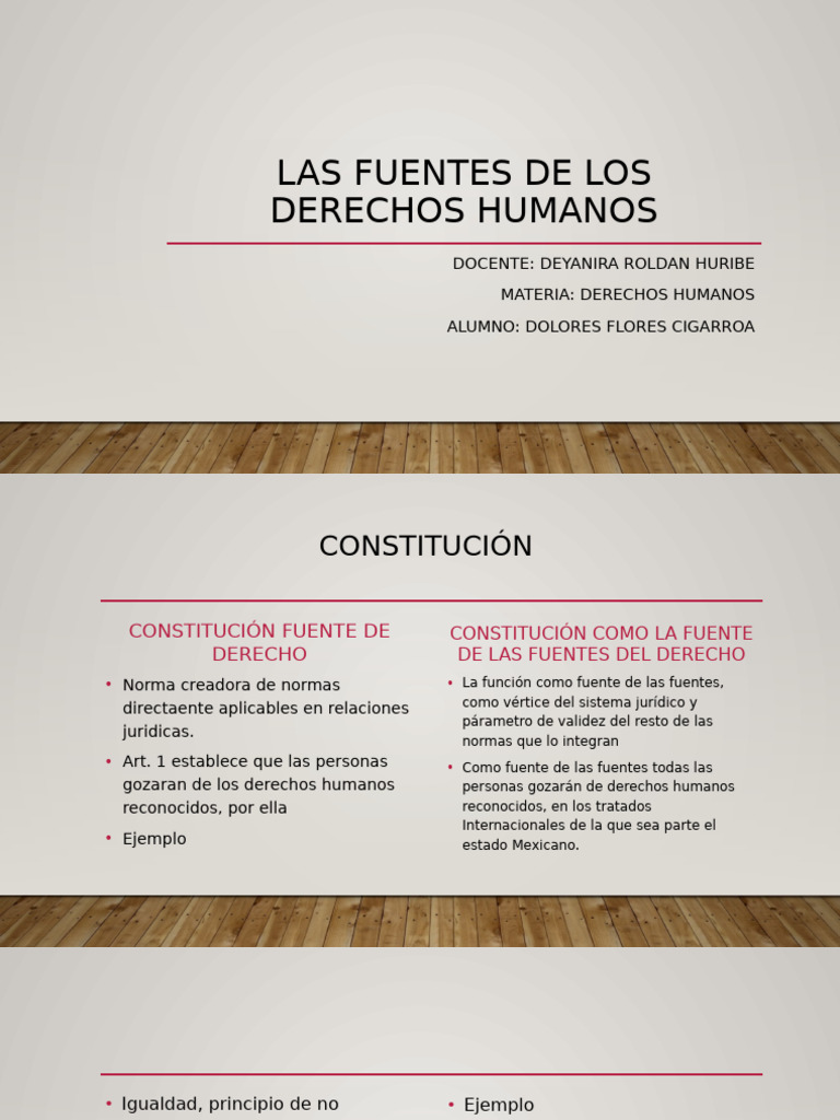 Fuentes de Derechos Humanos | PDF