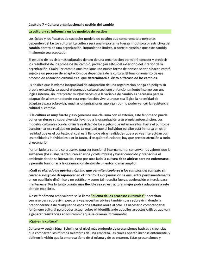 Capítulo 7 - Cultura Organizacional y Gestión Del Cambio | PDF