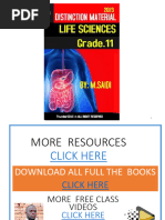 English Handbook and Study Guide | PDF