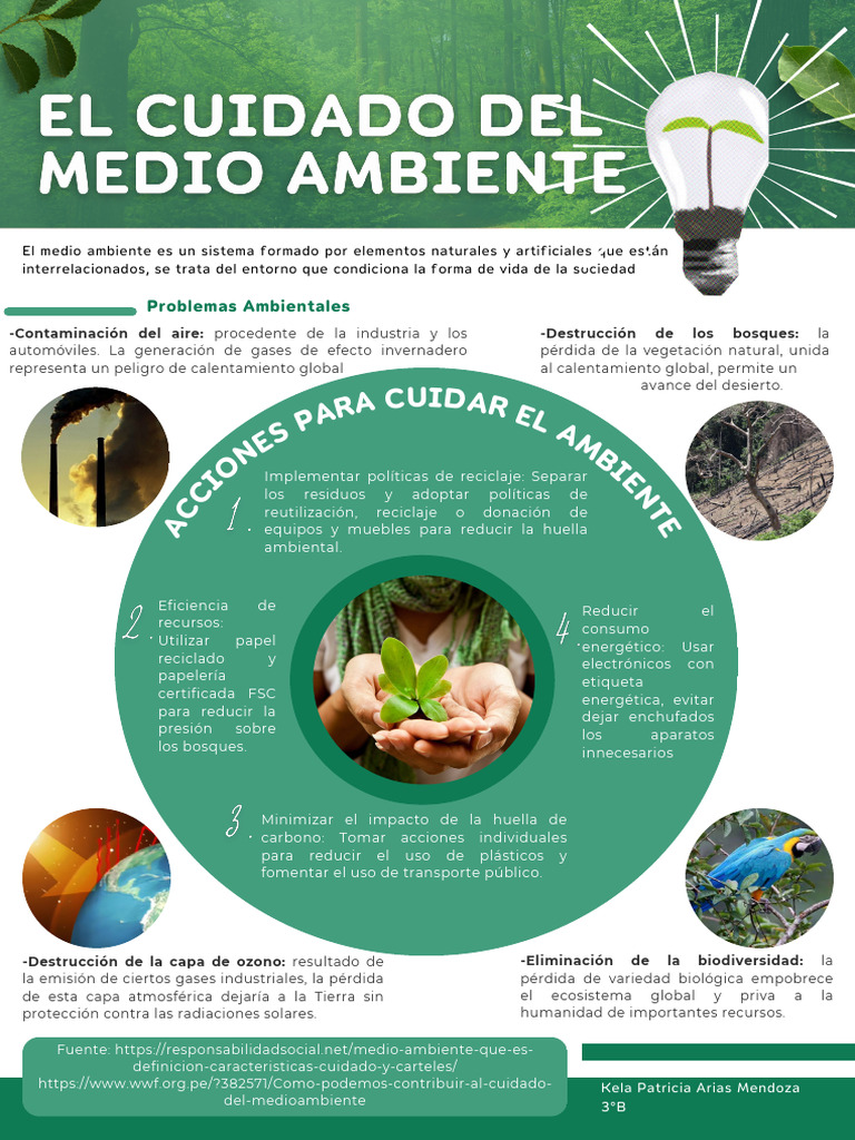 El Cuidado Del Medio Ambiente - Karias | PDF | Entorno natural | Reciclaje