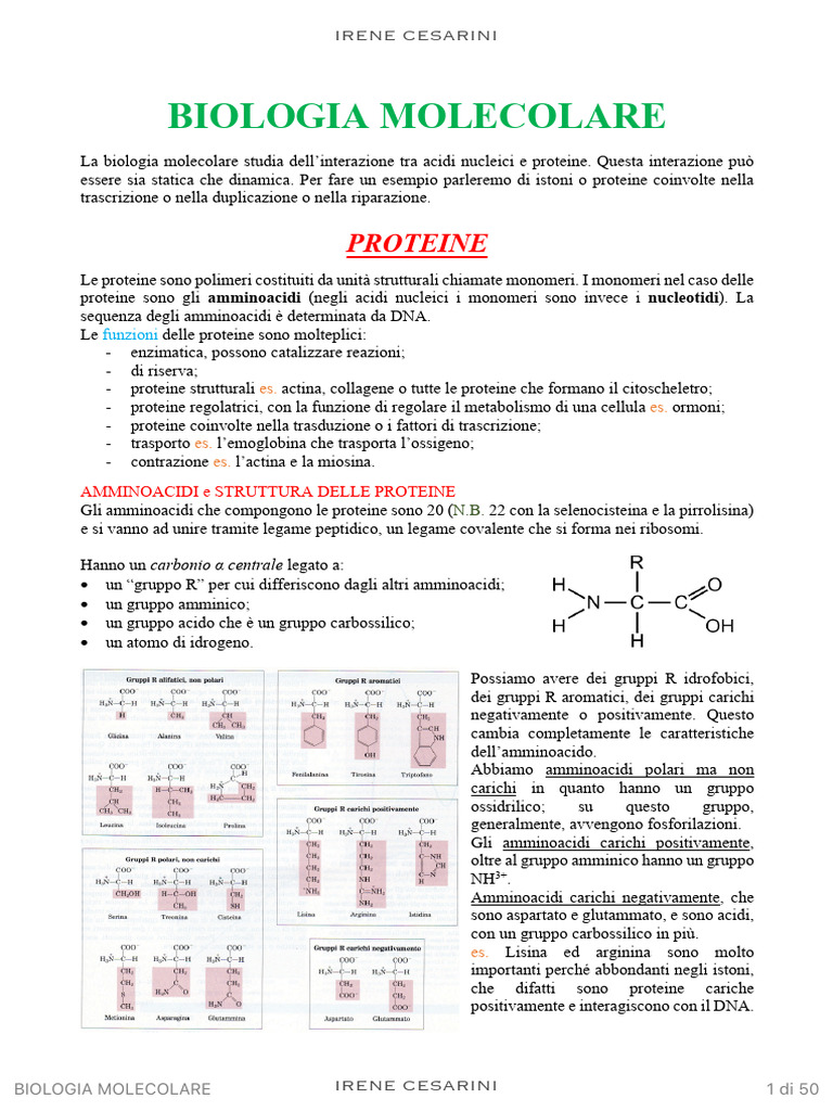 Bio Mol + Domande | PDF