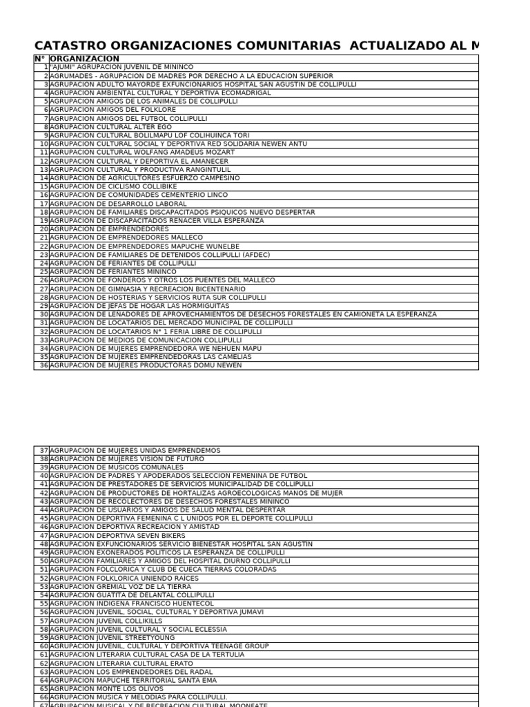 registropublicosdeorganizacionesvigentes-pdf