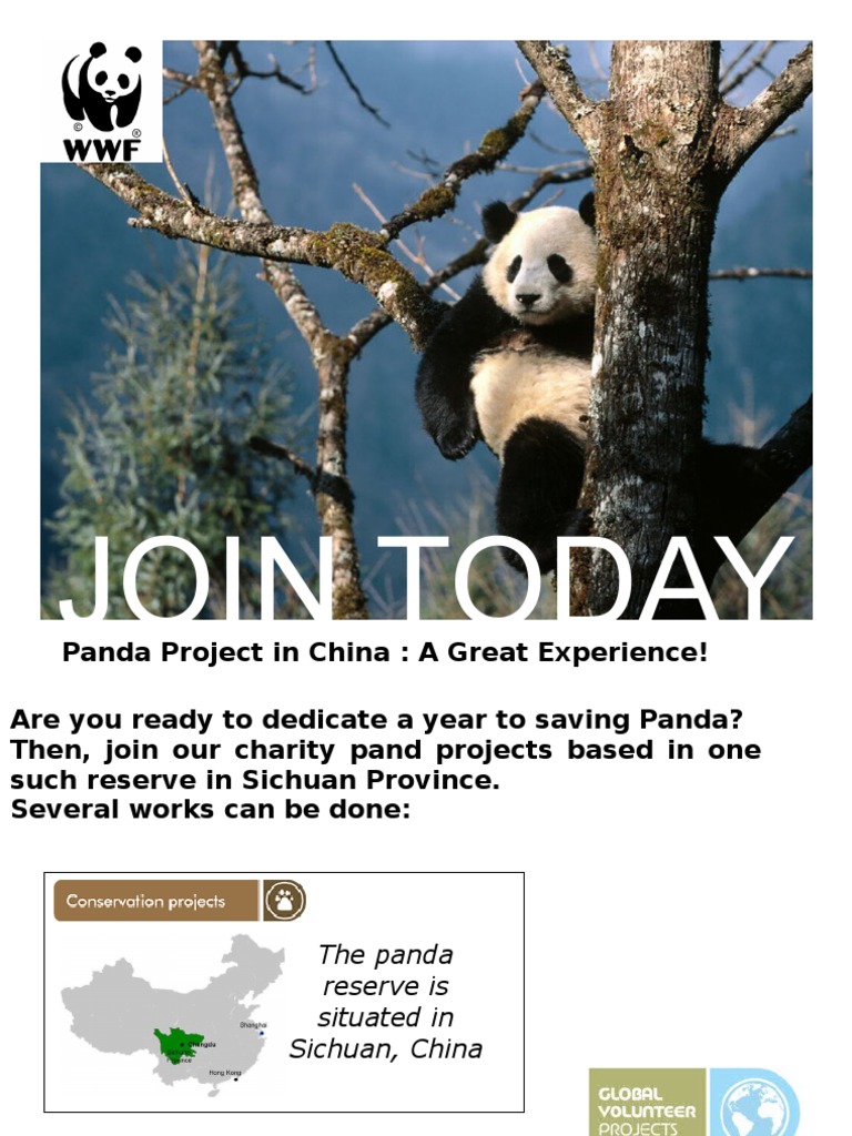 Panda English | PDF | Career & Growth | Art