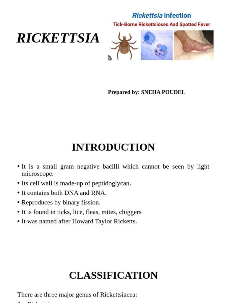 Rickettsia | PDF