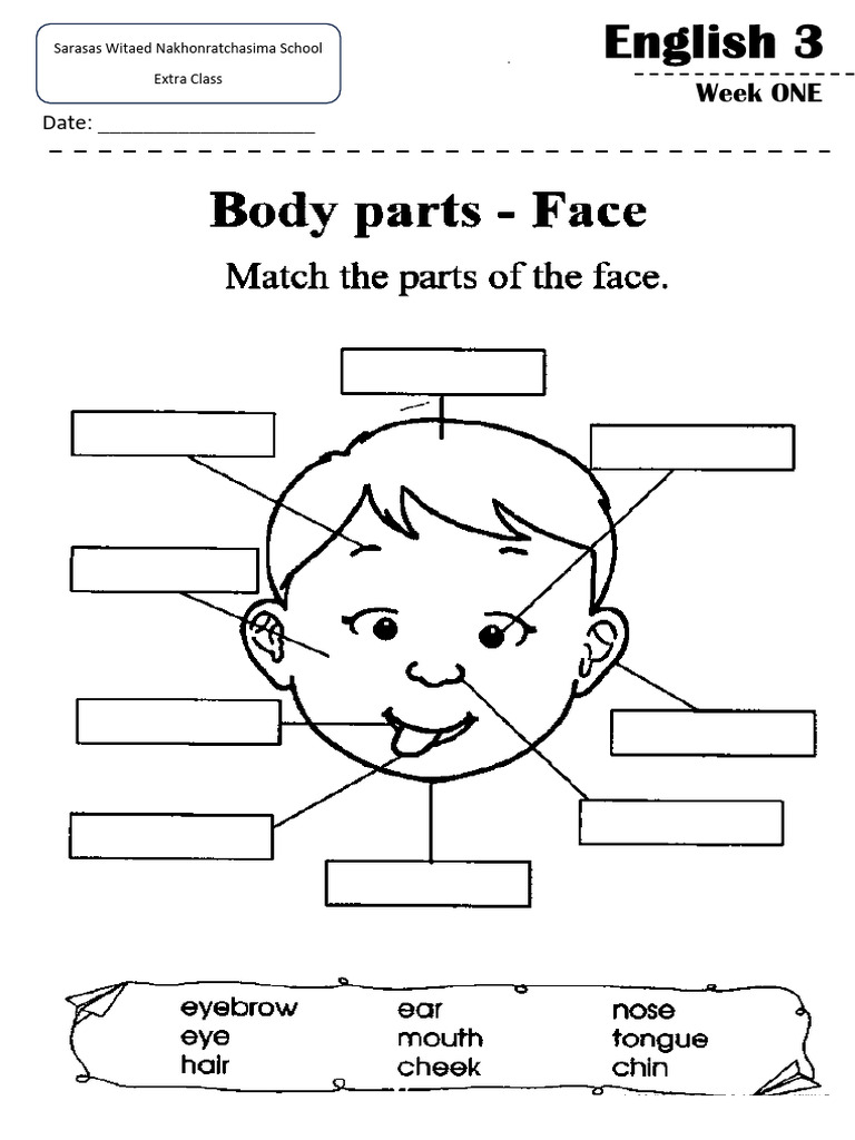 Grade 3 teaching materials PDF
