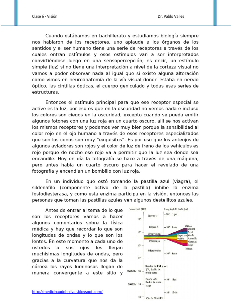 Vision | PDF